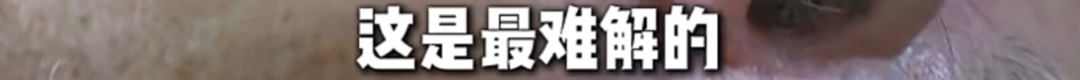 PJ·霍尔伤愈顺利渴望长留黄蜂