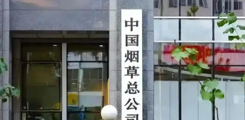 签下库库雷利亚竟为“遮羞”？皇马因世界杯零国脚遭全网嘲讽