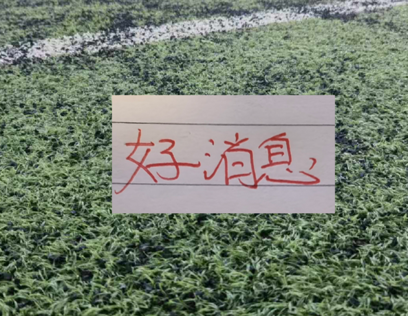 曼城今夏迎换帅引援多重变动