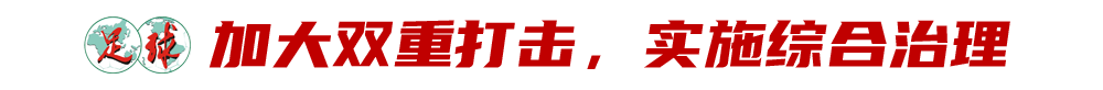 匈牙利VS瑞士赛事比分分析: 2024年欧洲杯必中投注技巧