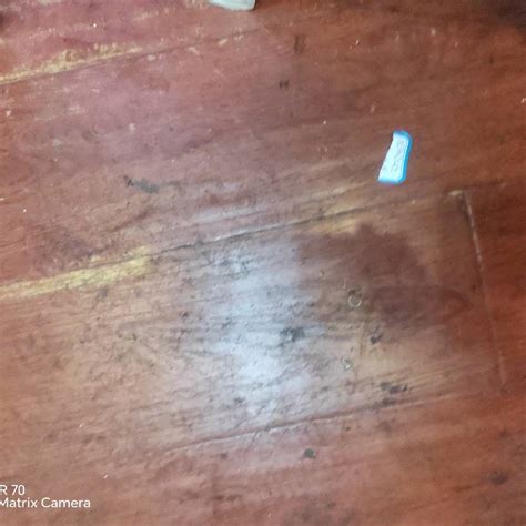 可视化驾驶舱 米兰体育